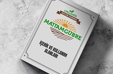 Organically grow the holistic world view